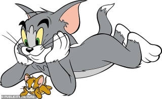 Hi hữu: Bắt gặp Tom và Jerry phiên bản ngoài đời thực