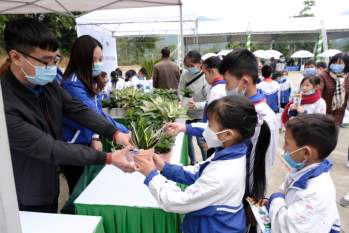 Các em học sinh đặc biệt hào hứng với hoạt động đổi vỏ hộp sữa lấy cây xanh.