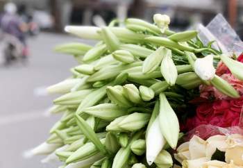 Hà Nội: Hoa loa kèn ngợp phố, giá chỉ 25.000 đồng/bó níu chân người mua - Ảnh 5.