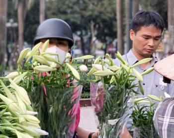 Hà Nội: Hoa loa kèn ngợp phố, giá chỉ 25.000 đồng/bó níu chân người mua - Ảnh 6.