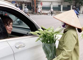 Hà Nội: Hoa loa kèn ngợp phố, giá chỉ 25.000 đồng/bó níu chân người mua - Ảnh 10.