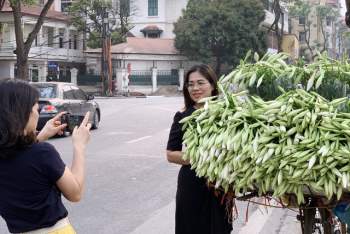 Hà Nội: Hoa loa kèn ngợp phố, giá chỉ 25.000 đồng/bó níu chân người mua - Ảnh 13.