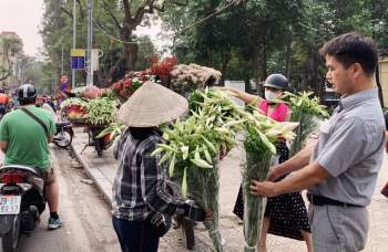 Hà Nội: Hoa loa kèn ngợp phố, giá chỉ 25.000 đồng/bó níu chân người mua - Ảnh 14.