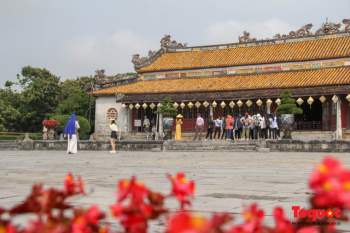 Du khách thích thú ngắm hoa ngô đồng nở rộ trong Hoàng cung Huế - Ảnh 1.
