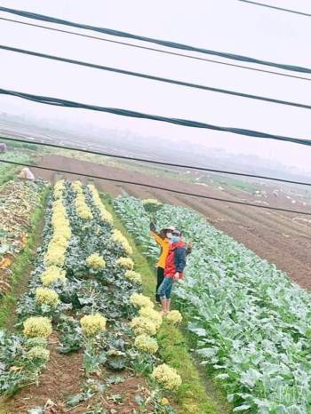 Độc đáo những bó hoa 'chỉ nở mùa Covid' tặng đội ngũ chống dịch ở Chí Linh - ảnh 5