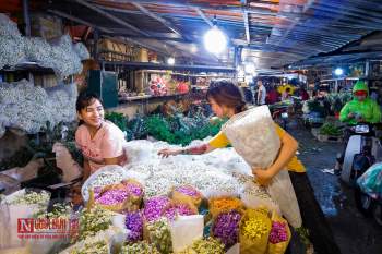 Tiêu dùng & Dư luận - Đi chợ hoa lúc nửa đêm để tặng mẹ nhân ngày Nhà giáo Việt Nam (Hình 3).