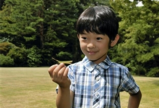 Hoàng tử bé Hisahito, “chân mệnh thiên tử” Nhật Bản mới sinh ra đã gánh tương lai hoàng gia - Ảnh 3