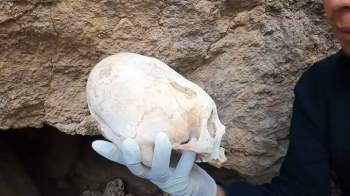 Hộp sọ dài phát hiện tại Peru thuộc về người ngoài hành tinh?