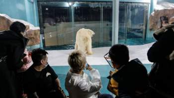 Bất ngờ xuất hiện khách sạn gấu Bắc Cực đầu tiên trên thế giới - Ảnh 2.