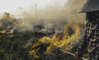 Người dân Hà Nội đốt rơm rạ khói bay mù mịt giữa cái nóng gần 40 độ, khiến không khí ngày càng ô nhiễm - Ảnh 5.