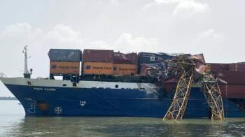 Tàu container đâm gãy cẩu thi công cầu dây văng Phước Khánh - Ảnh 1.