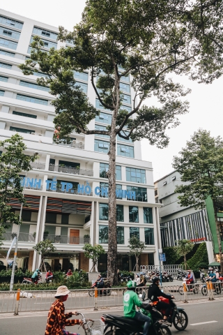 Sau vụ cây xanh bật gốc đè Ch?t người: Vẫn còn nhiều cây đã già cỗi có rễ lộ thiên, nhánh vươn ra mặt đường ở Sài Gòn - Ảnh 17.