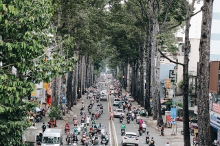 Sau vụ cây xanh bật gốc đè Ch?t người: Vẫn còn nhiều cây đã già cỗi có rễ lộ thiên, nhánh vươn ra mặt đường ở Sài Gòn - Ảnh 2.