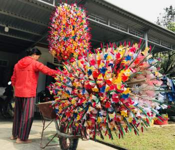 Sắc xuân tại làng hoa giấy hơn 300 năm tuổi ở Thừa Thiên Huế - Ảnh 2.