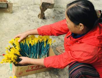 Sắc xuân tại làng hoa giấy hơn 300 năm tuổi ở Thừa Thiên Huế - Ảnh 4.