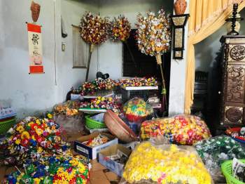 Sắc xuân tại làng hoa giấy hơn 300 năm tuổi ở Thừa Thiên Huế - Ảnh 7.