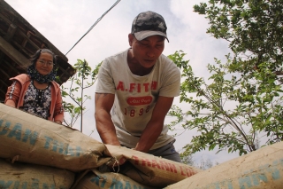 Trước nguy hiểm bão số 9: Người miền Trung đào cả hầm để trú ẩn - ảnh 9