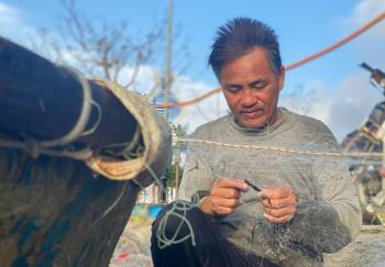 Sau bão số 13, ngư dân Đà Nẵng dong thuyền thúng ra khơi 'hái lộc biển' - ảnh 6