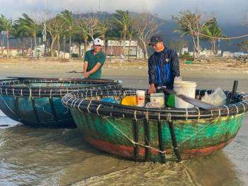 Sau bão số 13, ngư dân Đà Nẵng dong thuyền thúng ra khơi 'hái lộc biển' - ảnh 1