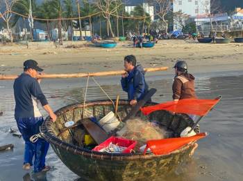 Sau bão số 13, ngư dân Đà Nẵng dong thuyền thúng ra khơi 'hái lộc biển' - ảnh 2