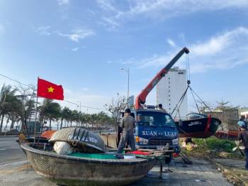 Sau bão số 13, ngư dân Đà Nẵng dong thuyền thúng ra khơi 'hái lộc biển' - ảnh 9