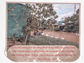 Sông Hà Nội: Ô nhiễm vẫn hoàn ô nhiễm - ảnh 6
