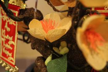 Cô gái dạy làm hoa mai giấy bonsai miễn phí cho chị em chưng Tết - ảnh 10