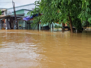 Đà Nẵng, Quảng Nam và Quảng Ngãi gồng mình ứng phó với bão lũ