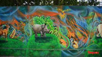 Khánh thành dự án tranh tường 'Môi trường sạch-Hành tinh xanh' tại Hà Nội - Ảnh 6.