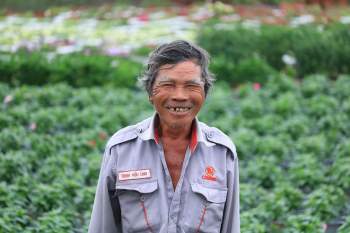 Nông dân Sài Gòn trồng hoa Tết 'năm Covid': Đã mang lấy nghiệp... - ảnh 9