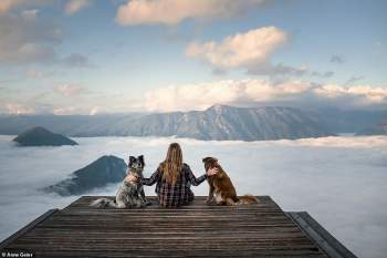 Loạt ảnh tuyệt đẹp về những chú chó và thiên nhiên