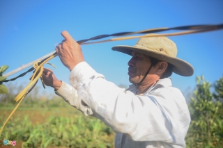 cuoc song cua nguoi dan Sa Ky, khong dien khong nuoc anh 5