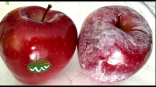 Ăn táo bao lâu nay nhưng chưa chắc bạn biết bí mật thú vị này: Lớp màu trắng bên ngoài vỏ quả thực chất là gì? - Ảnh 1.