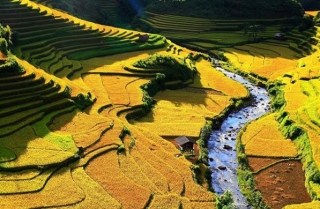 mu-cang-chai-mua-lua-chin-pys-travel-111