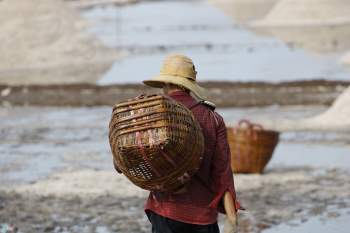 Diem dan Bac Lieu lo lang vi muoi rot gia anh 11