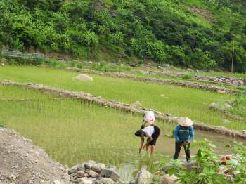 Sắc xuân trở lại Nậm Păm - Ảnh 3.