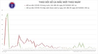 Nam thanh niên Hà Tĩnh là ca bệnh Covid 1045 tại Việt Nam