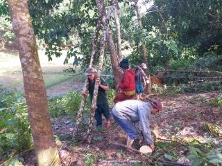 Thủ phủ 'vàng trắng' xứ Huế tả tơi sau bão: Nhặt cây gãy bán vớt vác - ảnh 14