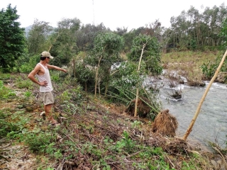 Thủ phủ 'vàng trắng' xứ Huế tả tơi sau bão: Nhặt cây gãy bán vớt vác - ảnh 4