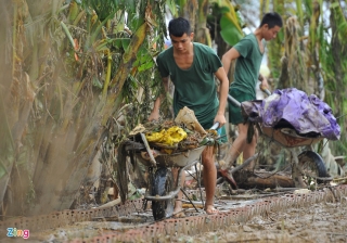 lu lut Quang Binh anh 30