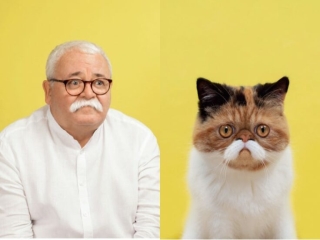 Những bức ảnh hài hước chứng minh mèo và chủ nhân là bản sao y đúc