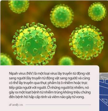 Virus Nipah gây phù não được cảnh báo có thể là đại dịch tiếp theo: Chưa có vắc-xin phòng bệnh và có thể ủ bệnh hơn 1 tháng mà không biết - Ảnh 4.
