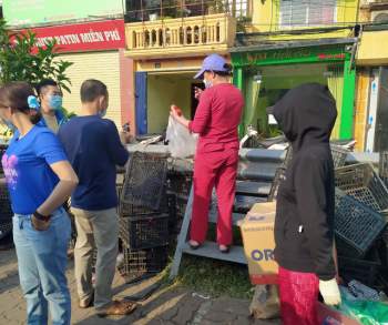 7 tấn cà chua của nông dân Hải Dương được người Thủ đô giải cứu trong vòng 30 phút - Ảnh 9.