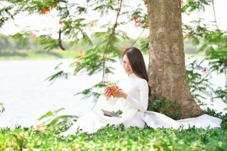 Nữ sinh Hà Thành gây “sốt” khi diện áo dài trắng, hoa phượng đỏ