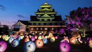 Ô giấy phát sáng xung quanh lâu đài cổ ở Nhật Bản