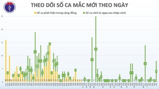 Phát hiện 8 chuyên gia Nga mắc Covid-19 khi vào Việt Nam