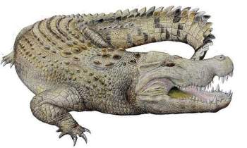 Phát hiện hộp sọ khổng lồ của cá sấu 8 triệu năm tuổi