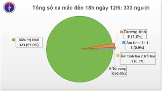 Phát hiện thêm ca mắc COVID-19, Việt Nam có 333 ca nhiễm - Ảnh 3.