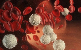 Dạng ung thư máu MC Diệu Linh mắc phải phổ biến nhất trong 3 dạng ung thư máu, gây tổn hại hệ miễn dịch - Ảnh 4.