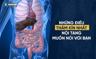 Cảm giác thèm tiết lộ sức khỏe của nội tạng: Cơ thể có vấn đề, khẩu vị sẽ mách bạn - Ảnh 4.